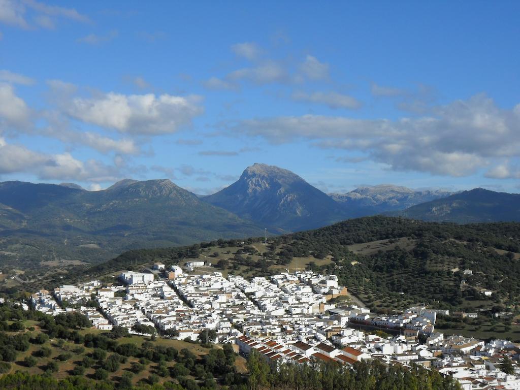 Casa Lomas Prado Del Rey
